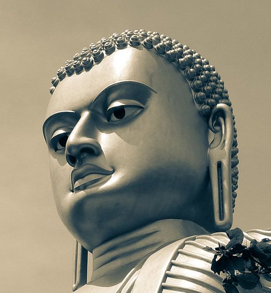 Buddha on top of Golden Temple of Dambulla par Inez Wijker