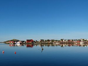 Reine Lofoten sur Mirakels Kiekje