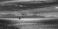 Voilier solitaire