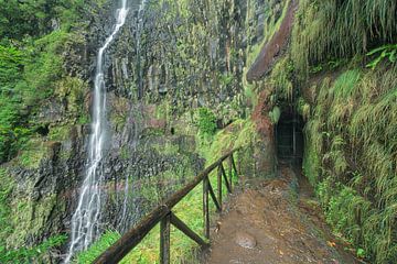 Risco-Wasserfall auf Madeira