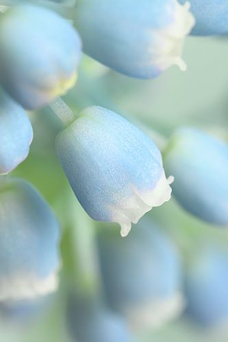 Lente in pastelkleuren!