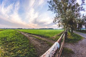 Weiland, Leiden sur Jordy Kortekaas