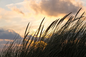 Sonnenuntergang in den Dünen