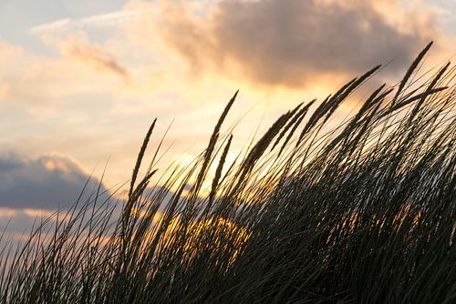 Zonsondergang in de duinen
