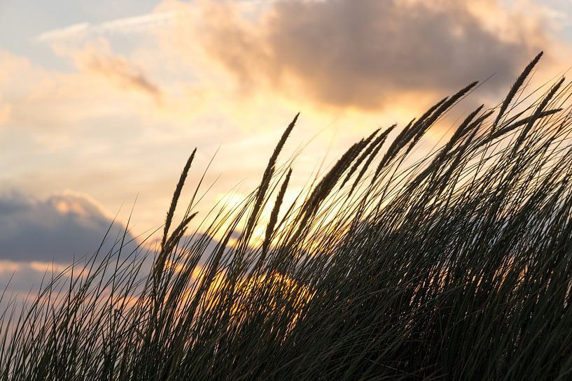 Coucher de soleil dans les dunes par Leo Kramp Fotografie