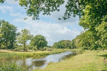 Een zomerse dag aan de Regge - groen en blauw - Vechtdal, Nederland