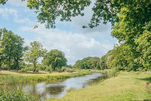 Een zomerse dag aan de Regge - groen en blauw - Vechtdal, Nederland