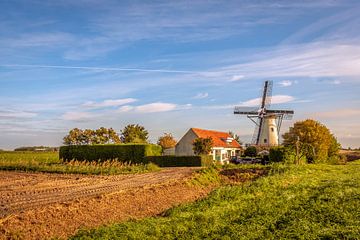 Moulin à blé De Jager à Oud-Vossemeer (Tholen)