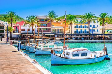 View of Port de Andratx fishing harbor, Mallorca, Spain. by Alex Winter