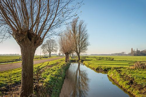 Typisch Nederlands polderlandschap in de Alblasserwaard regio