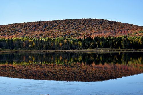 Reflet d'automne sur le lac