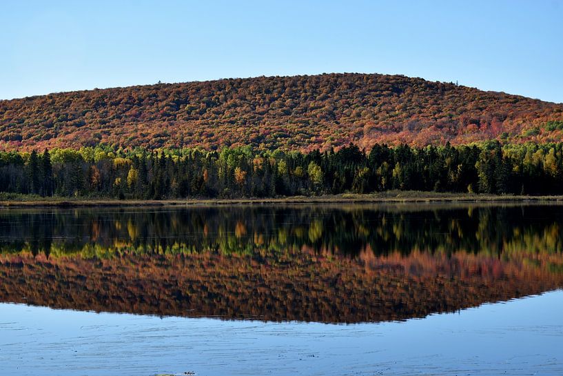 Autumn reflection on the lake by Claude Laprise
