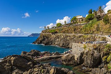 Uitzicht op Manarola aan de Middellandse Zeekust in Italië van Rico Ködder