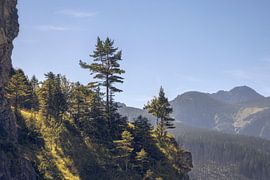 Het schilderachtige landschap van het Tatra-Nationaalpark in Polen van PhotoCluster