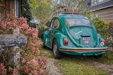 Klassieke oldtimer Volkswagen Kever van Steven World Traveller