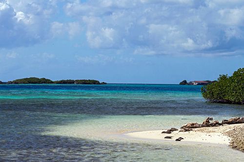 malmok beach aruba by gea strucks