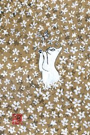 cat in the field by Péchane Sumie