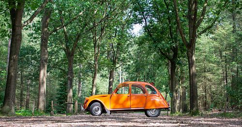 Citroën 2CV dans la forêt