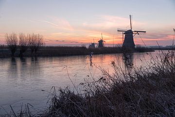Mills in Kinderdijk by Maja Mars
