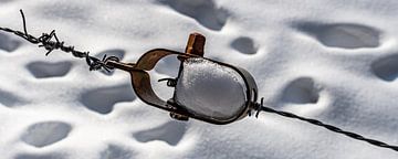 Draadspanner in de sneeuw van Marcel Pietersen