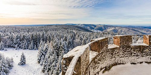 View from the Hohlohturm tower near Kaltenbronn in the Black Forest by Werner Dieterich