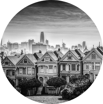 The Painted Ladies van Loris Photography