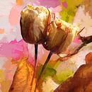 old roses by Andreas Wemmje thumbnail