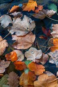 Plitvicer Seen und Wasserfälle im Herbst