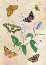 Common birdwatchers with her butterflies. by Jasper de Ruiter thumbnail