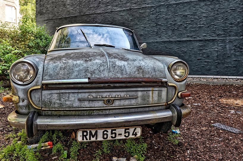 Skoda. by Tilly Meijer