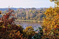 Herbst