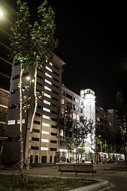 Anton by Jasper Scheffers