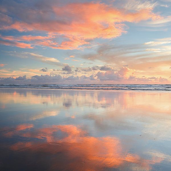 Bethells Beach I by Rainer Mirau
