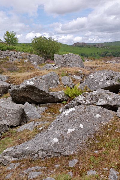 Felsblöcke Dartmoor von Ralph Jongejan