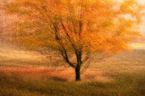 Quintelooijen part 19