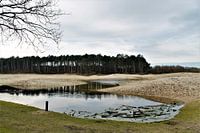 Landscape in nature reserve - Oranjezon