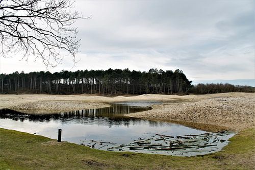 Landschaft im Naturschutzgebiet - Oranjezon