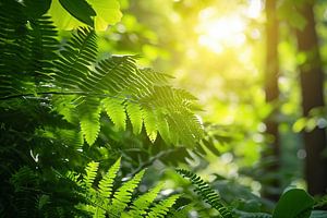 Magisches Licht im Wald