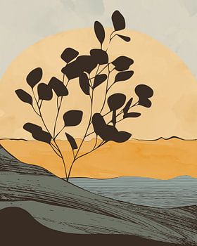 Eukalyptusbaum bei Sonnenuntergang