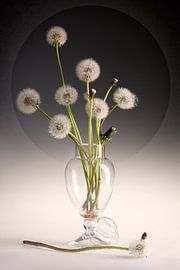 Still life 119 by jejaka art