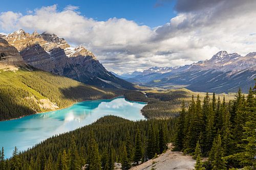 Lake Peyto in de Rocky Mountains