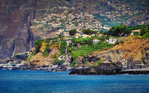 De kust van Madeira 2