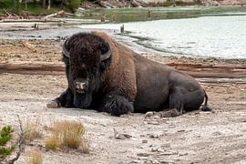 Parc national de Yellowstone sur Studio Retouched fotoshop