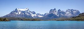 Het griezelige Lago Grey in Torres Del Paine Park, Patagonië, C van Andreas Peters