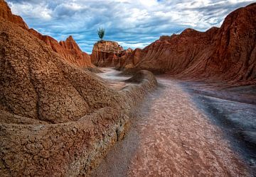 Paysage rouge du désert de Tatacoa
