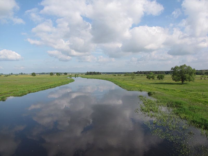 Waterview von Nan van Elburg