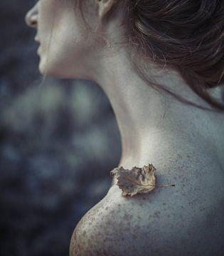 the leaf, Magdalena Russocka by 1x