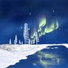 Winter - Koude winternacht met Noorderlicht van Aurealis Creatief