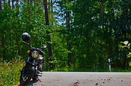 Forest and a motorcyc by Armanto Brouka