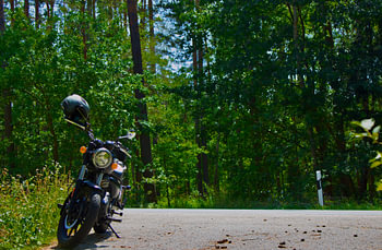 La forêt et une moto